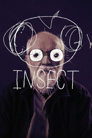 Insect (2018) poster