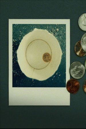 Bi-Polaroid (2018) poster