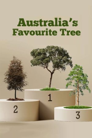 Australia’s Favourite Tree (2022) poster