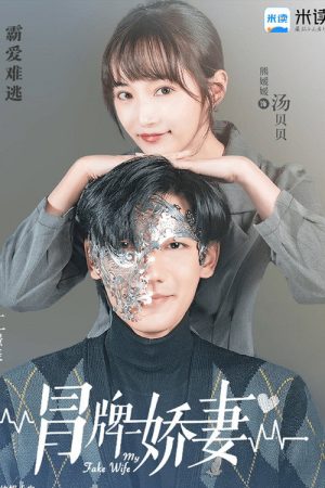 My Fake Wife (2020) poster
