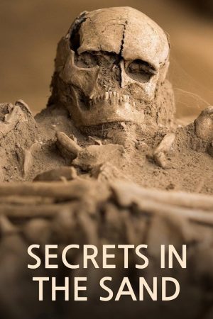 Secrets in the Sand (2023) poster