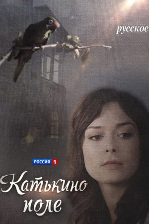 Kate’s Field (2018) poster