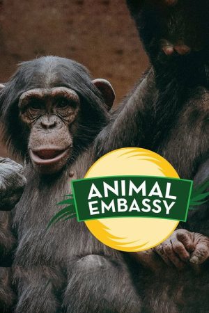 Animal Embassy (2020) poster