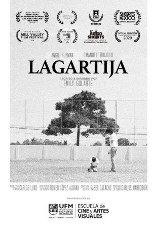Lagartija (2019) poster