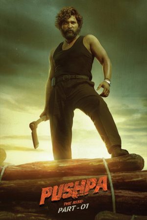 Pushpa: The Rise (2021) poster