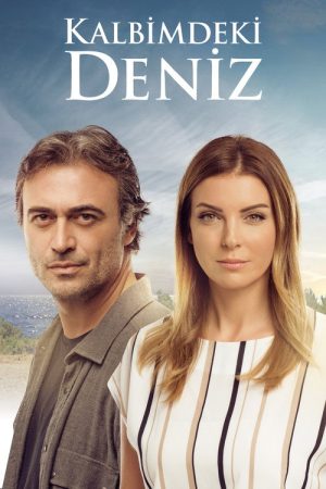 Deniz Inside My Heart (2016) poster