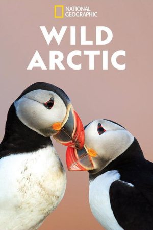 Wild Arctic (2018) poster