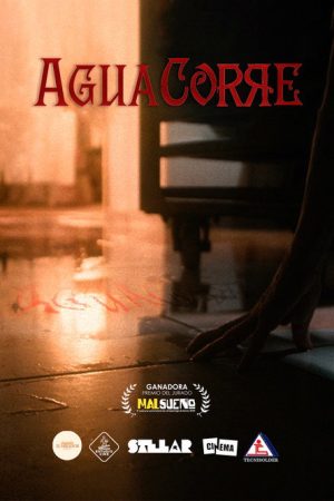 Agua Corre (2026) poster