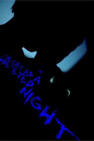 The Cat Is A Wide-Eyed Night (2026) poster