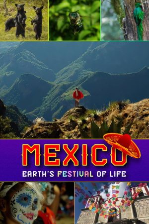 Mexico: Earth’s Festival of Life (2017) poster