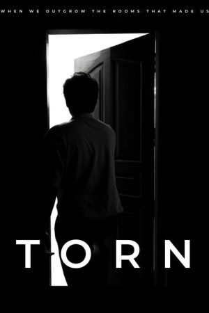 Torn (2026) poster