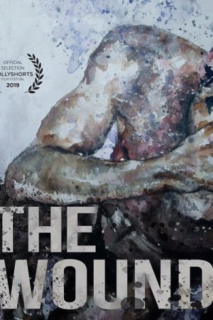 The Wound (2019) poster