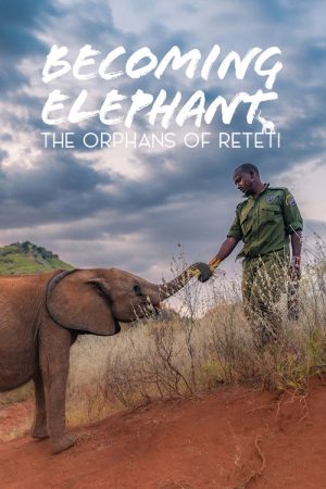 Becoming Elephant: The Orphans Of Reteti (2026) poster