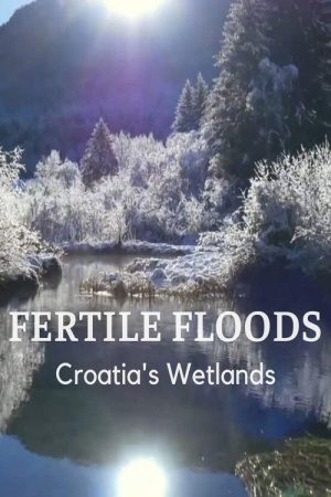 Fertile Floods: Croatia’s Wetlands (2018) poster