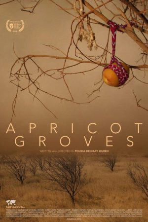 Apricot Groves (2017) poster