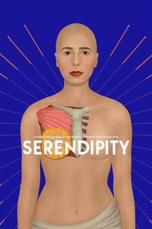 Serendipity (2019) poster