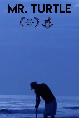 Mr. Turtle (2018) poster