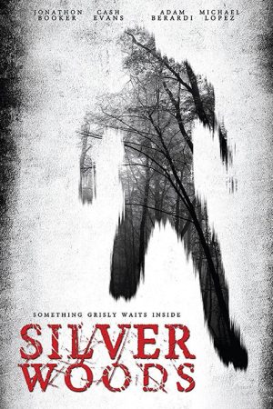 Silver Woods (2017) poster