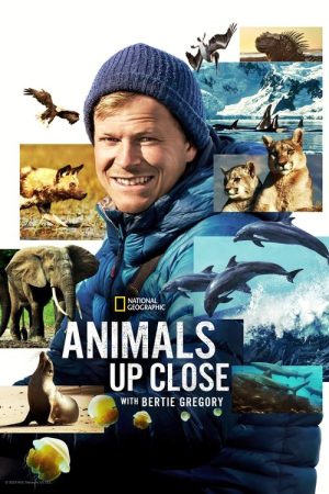 Animals Up Close with Bertie Gregory (2023) poster