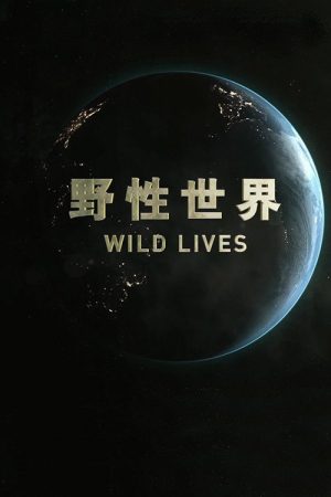 野性世界 (2018) poster