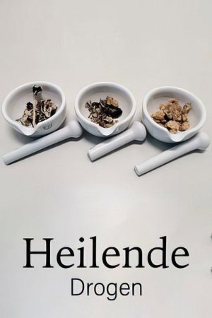 Drugs that Heal: Could Psychedelics Treat Depression? (2022) poster