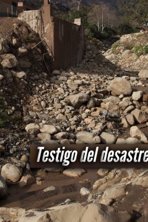 Testigos de la tragedia (2019) poster
