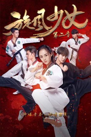 旋风少女2 (2016) poster