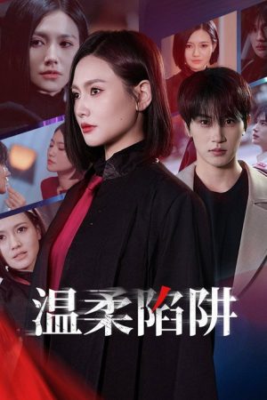 温柔陷阱 (2025) poster