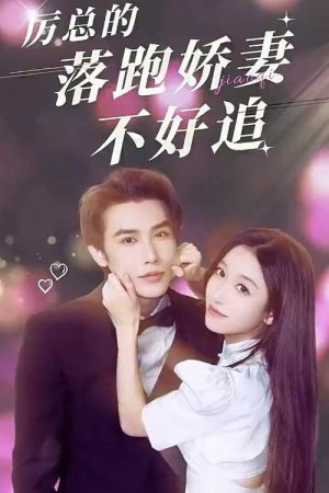 Li Yan’s Wife Is Not Easy to Chase (2023) poster