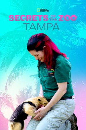 Secrets of the Zoo: Tampa (2020) poster