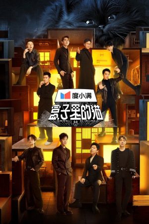 Mystery in the Box (2024) poster
