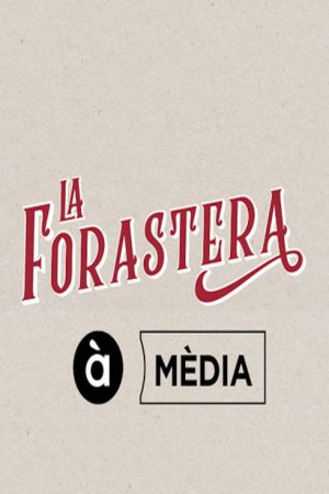 La forastera (2019) poster