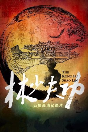 功夫少林 (2016) poster