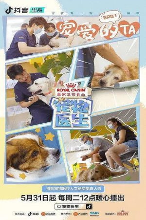 宠物医生 (2022) poster