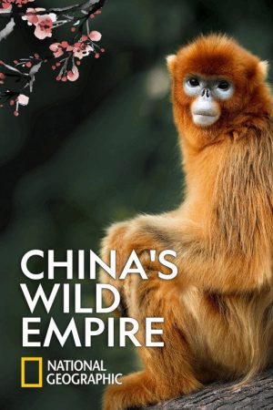 China’s Wild Empire (2023) poster