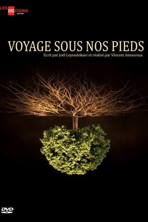 Voyage sous nos pieds (2016) poster