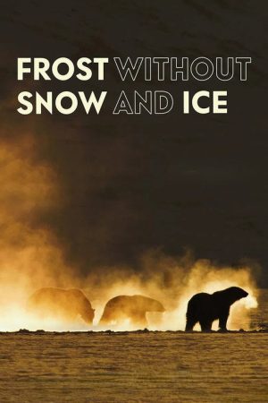 Frost Without Snow and Ice (2026) poster