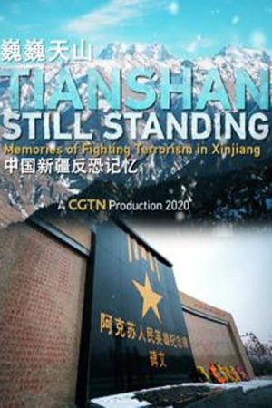 中国新疆反恐纪录 (2019) poster