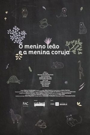 O Menino Leão e a Menina Coruja (2017) poster