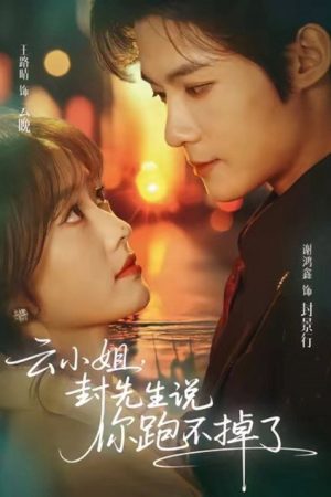 云小姐，封先生说你跑不掉了 (2026) poster