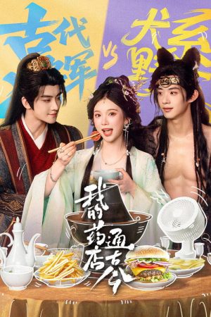 我的药店通古今 (2026) poster