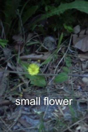 Small Flower (2022) poster