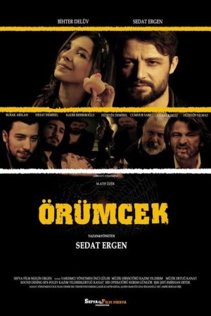 Örümcek (2017) poster