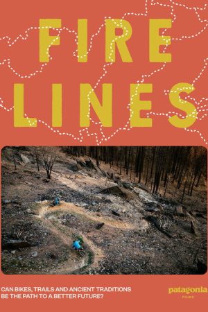 Fire Lines (2024) poster