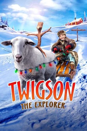 Twigson the Explorer (2017) poster