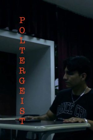 Poltergeist (2024) poster