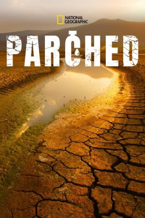 Parched (2017) poster