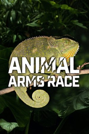 Animal Arms Race (2019) poster