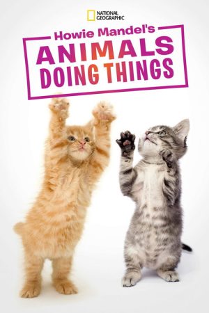 Howie Mandel’s Animals Doing Things (2018) poster