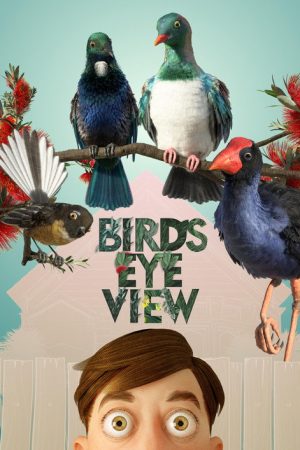 Bird’s Eye View (2022) poster